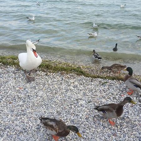 Antico Convento Leilighet Moniga del Garda Eksteriør bilde