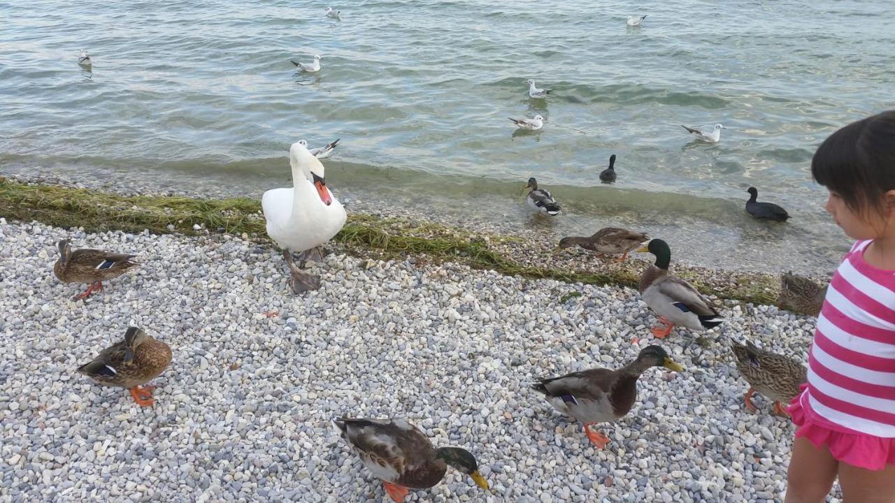 Antico Convento Leilighet Moniga del Garda Eksteriør bilde